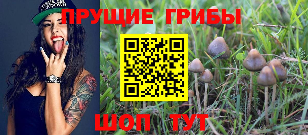 ГАШИШ Надым