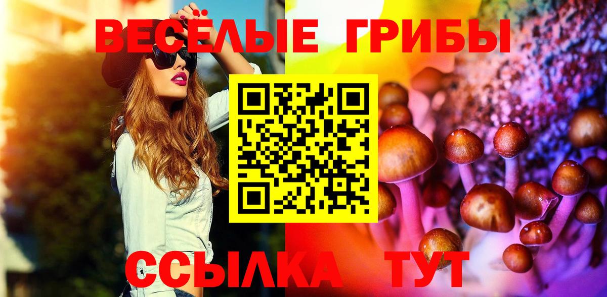 Надым  где можно купить наркотик  Вход с VPN  Галлюциногенные грибы мицелий 