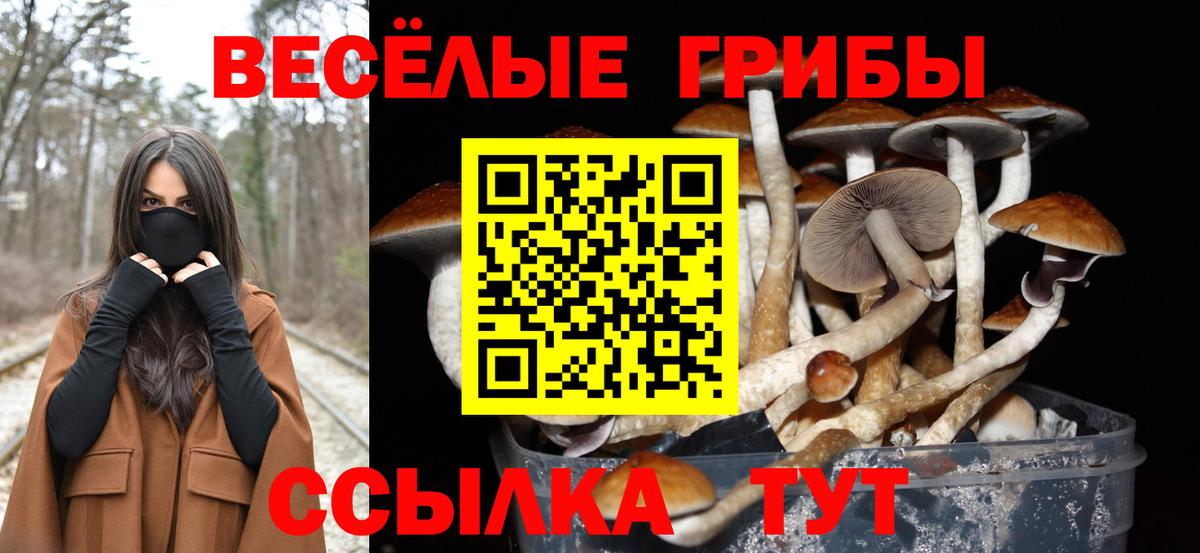 Псилоцибиновые грибы мухоморы Надым